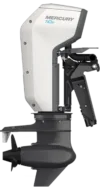 Mercury Avator